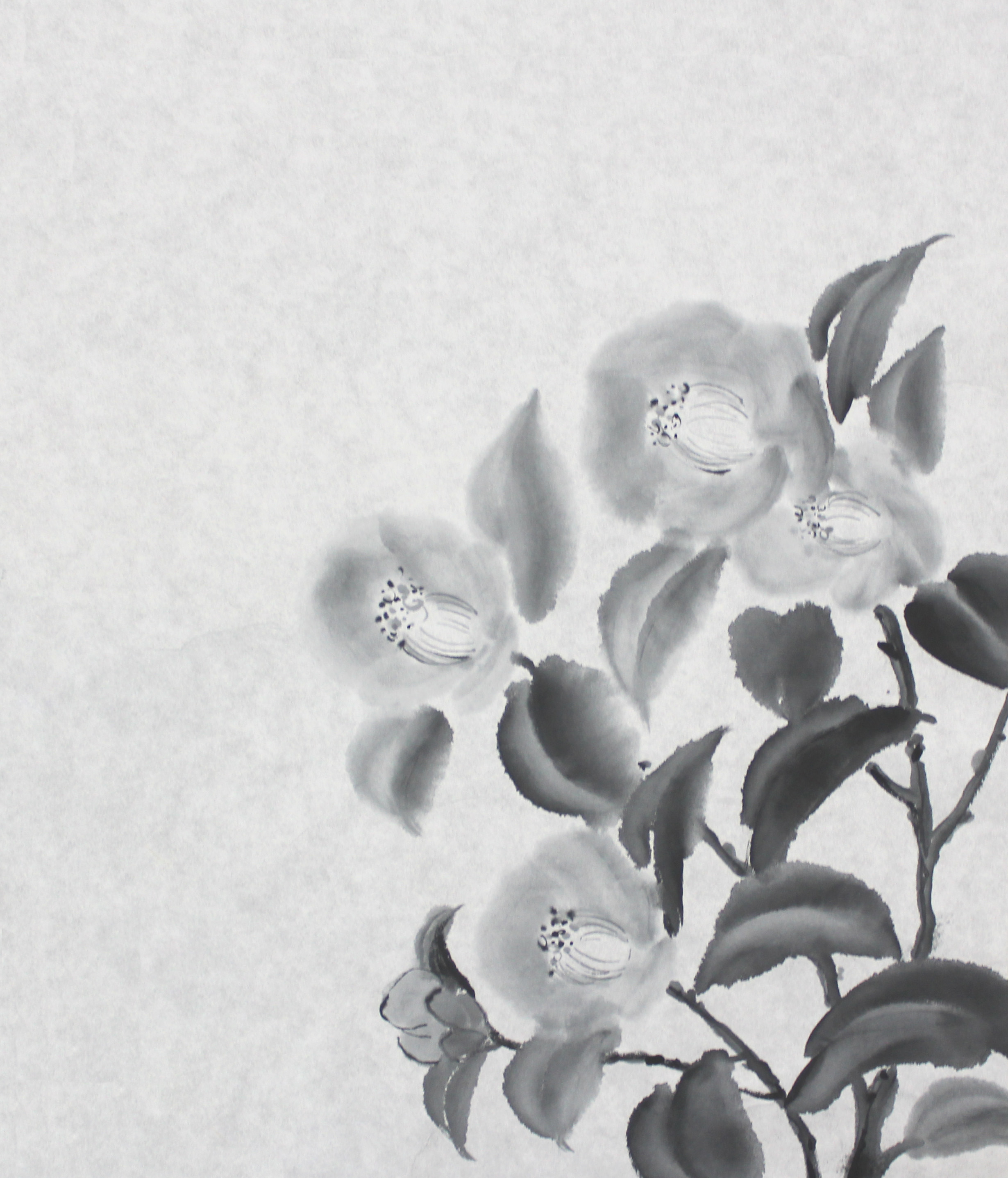 楽しい水墨画体験-椿を描いてみよう-…2019年2月16日(土)【終了